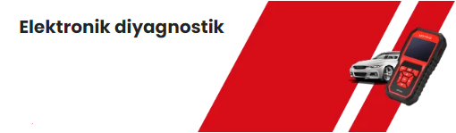 Elektronik Diyagnostik